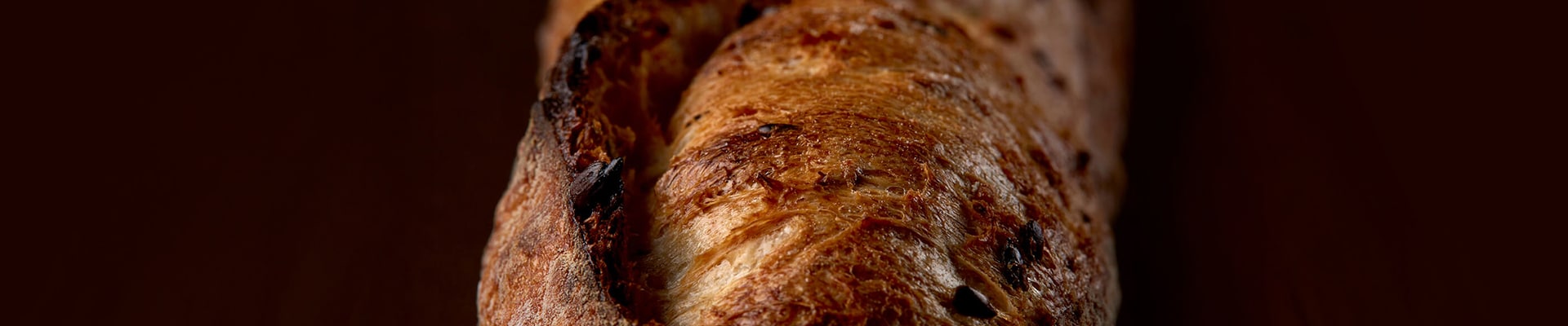Header page galerie photo